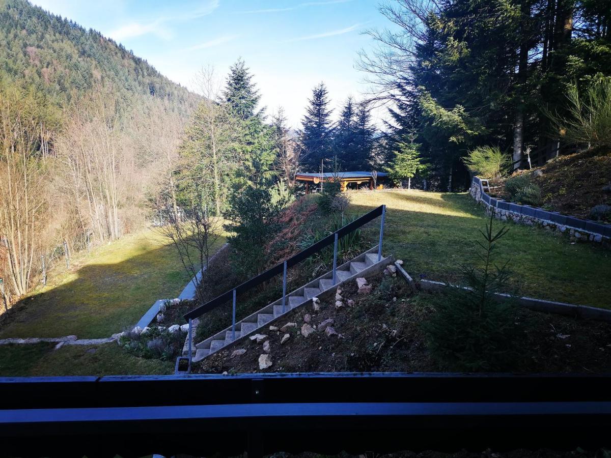 Haus Schwarzwaldblick Villa Hornberg Luaran gambar