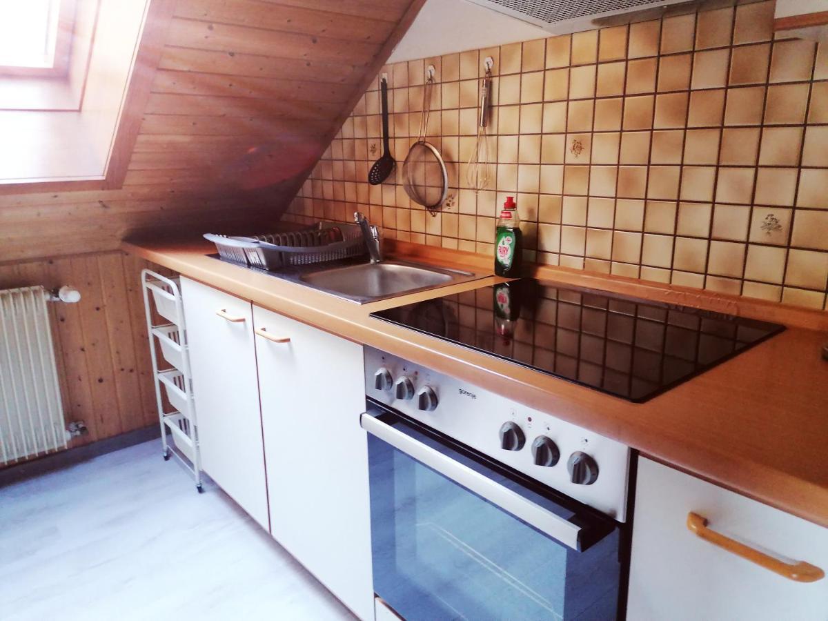 Haus Schwarzwaldblick Villa Hornberg Luaran gambar