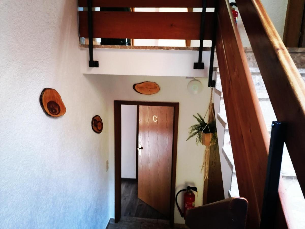 Haus Schwarzwaldblick Villa Hornberg Luaran gambar
