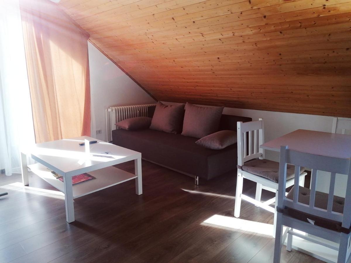 Haus Schwarzwaldblick Villa Hornberg Luaran gambar