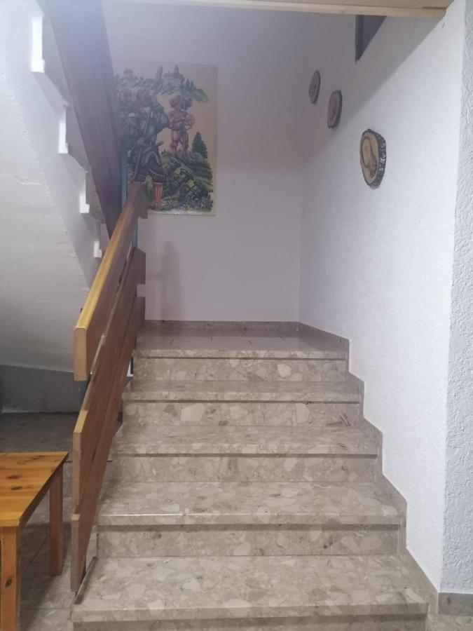 Haus Schwarzwaldblick Villa Hornberg Luaran gambar